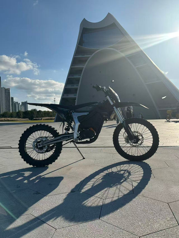 shelley wyllie's review