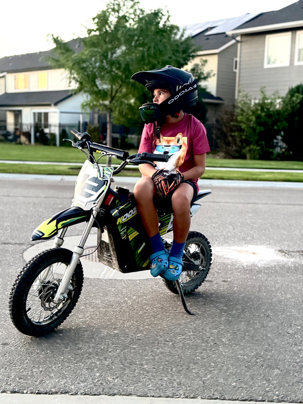 Robert Anderson's review